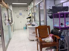 -达爱动物医院·犬猫分区·CT·复杂眼科(远洋山水分院)