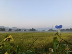 -黟县屏山村