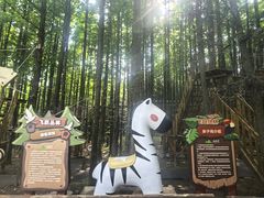 -山王坪喀斯特国家生态公园