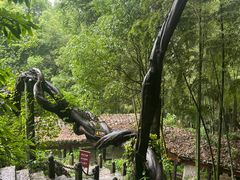 -严子陵钓台(富春江小三峡)