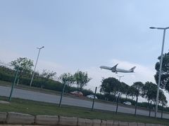 -空港花田景区
