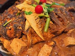 -老板恋上鱼(印象城店)