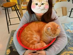 -平行世界·猫咖(首经贸店)