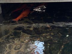 -前童古镇
