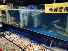 -苏格里岛自助海鲜烤肉(青秀万达店)