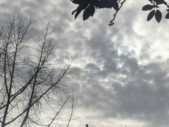 -龙华寺