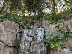 -广州市流溪河国家森林公园