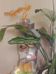 -卡尔诗·科技美肤连锁