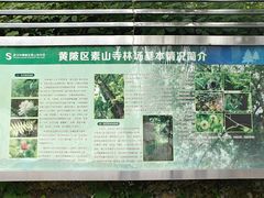 -素山寺森林公园