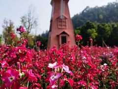 -顺峰山公园