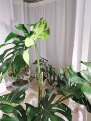 -橙沐普拉提瑜伽