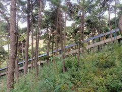 -山叶口景区