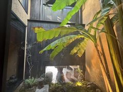 -觀芷隐轩