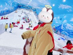 -世界之窗阿尔卑斯冰雪世界