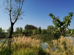 -东郊湿地公园