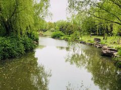 -上海滨江森林公园