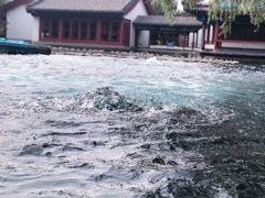 -百脉泉景区