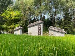 -北坞公园