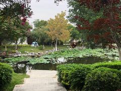-厦门园林博览苑