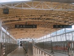 -武汉关码头(轮渡站)