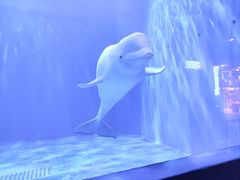 -多彩贵州城极地海洋世界