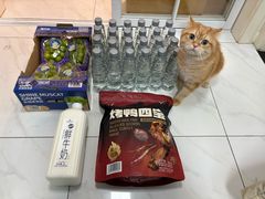 -山姆会员商店(上海浦东店)