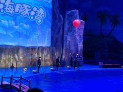 -华夏文旅海洋公园