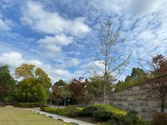 -上海崇明金茂凯悦酒店