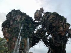 -奥兰多迪士尼动物王国乐园