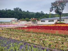 -昆明春城湖畔度假村