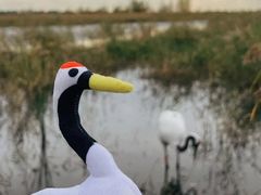 -黑龙江扎龙生态旅游区