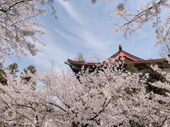 -鸡鸣寺