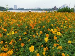 -顺峰山公园
