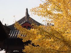 -钱王祠