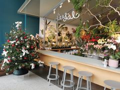 -Seesaw Coffee(深圳万象天地店)