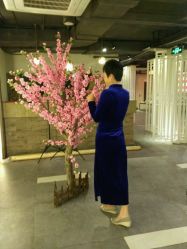 -梧桐照相馆(维景国际店)