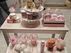 -新加坡瑞士史丹福酒店