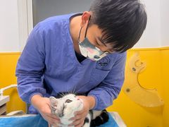 -瑞派·爱瑞可动物医院·口腔专科(广华新城分院)