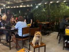 -naraya(玛雅百货店)