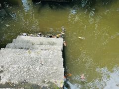 -南岳大庙