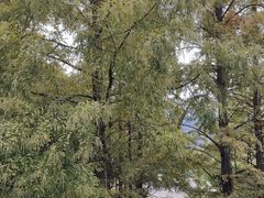 -遂昌金矿国家矿山公园