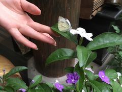 -白鹭原茶艺馆