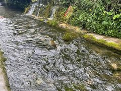 -源泉冷水鱼庄(小鱼洞店)