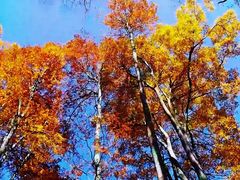 -叠溪松坪沟景区