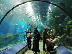 -福州罗源湾海洋世界旅游区