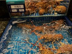 -东海怡品海鲜豆捞(星街坊店)