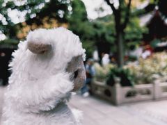 -龙华素斋(龙华路店)