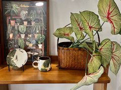 -山由之cafe&meal(小寨店)