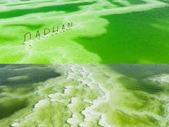 -青海湖国家重点风景名胜区