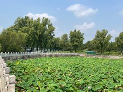-青龙湖公园